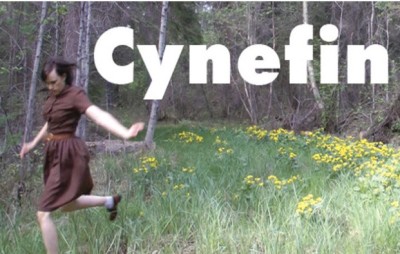 CYNEFIN logo