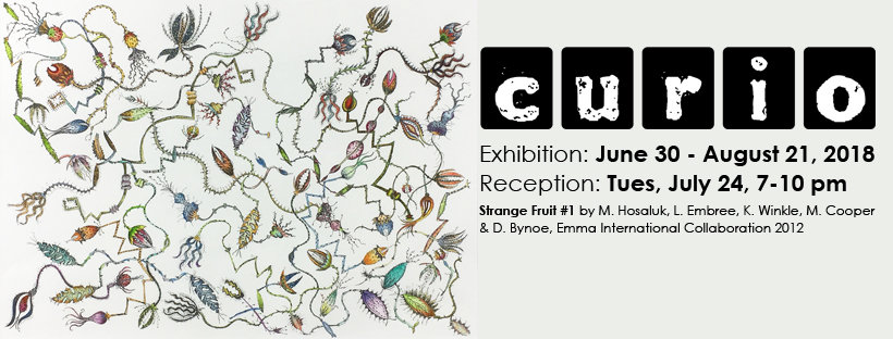 Curio – Curatorial Statement