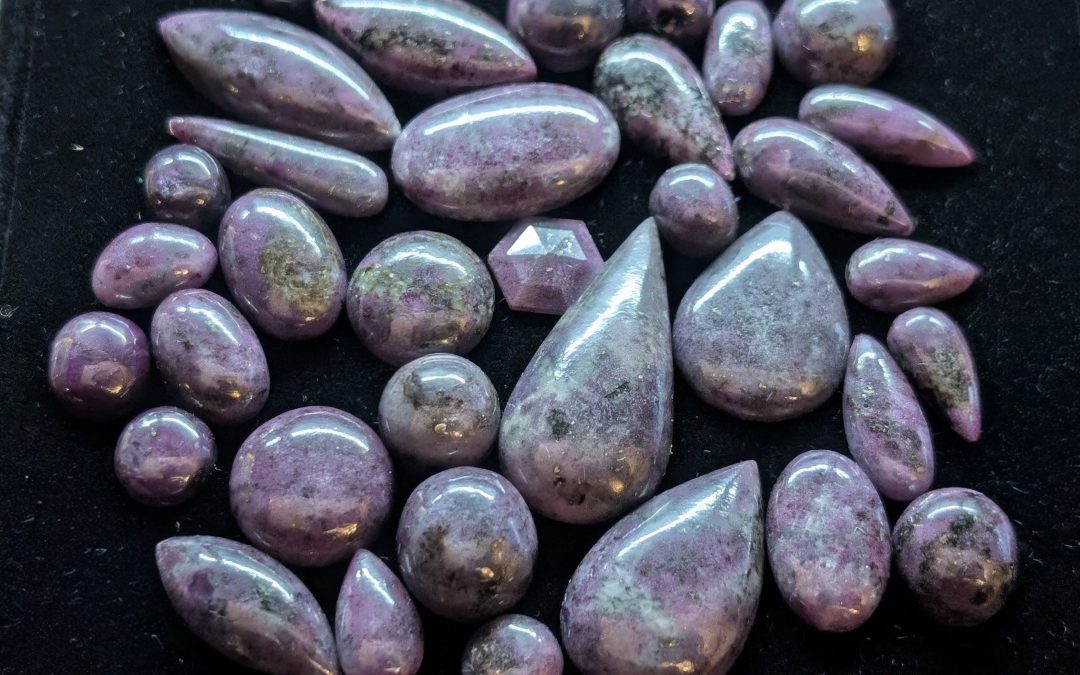 Anastasia Comtois-Poissant