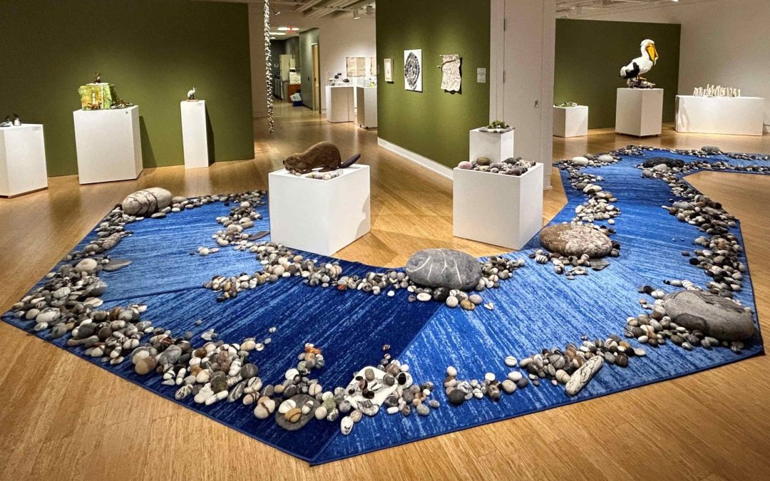 New Exhibition: Like a Rolling Stone – Habitat